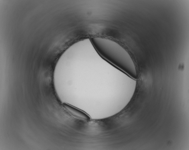 X0000112500566200909071248