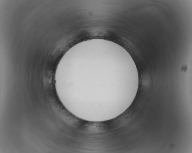 X0000112500567200909071248