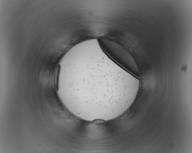 X0000112500568200909071248