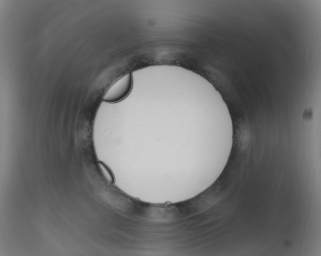 X0000112500571200909071248