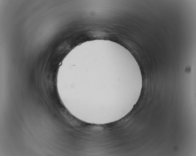 X0000112500572200909071248