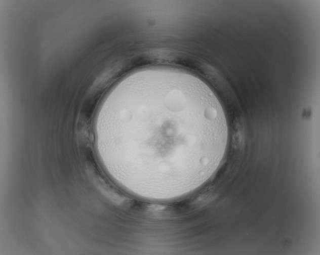 X0000112500573200909071248