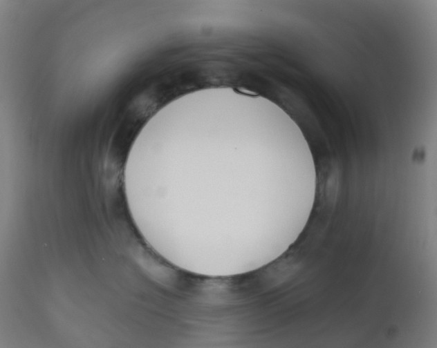 X0000112500574200909071248