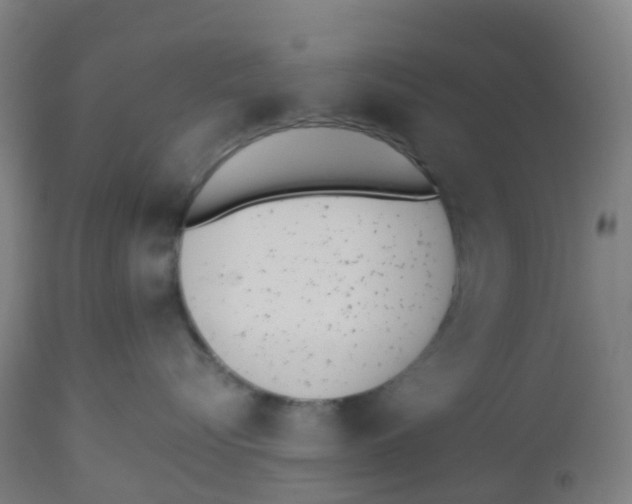 X0000112500576200909071248