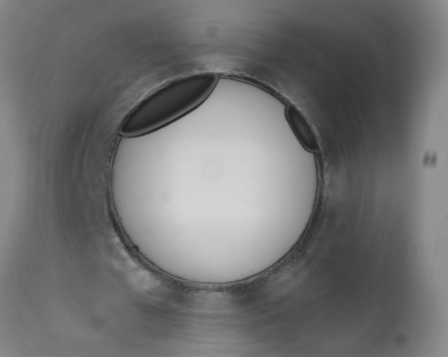 X0000112500577200909071247