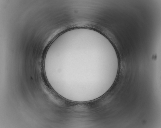 X0000112500578200909071247