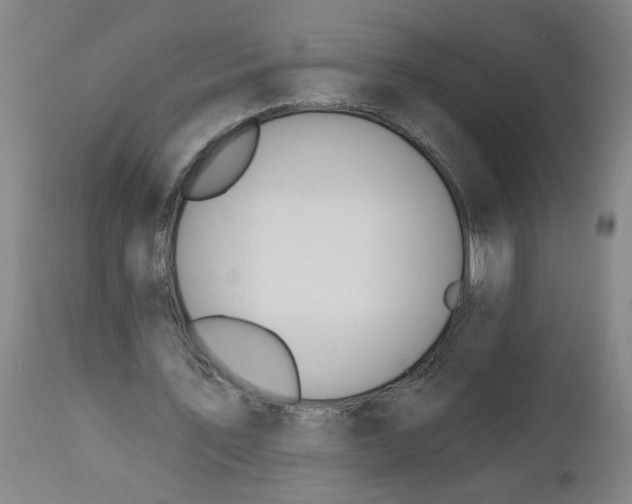 X0000112500579200909071247