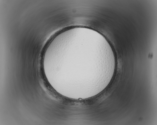 X0000112500580200909071247