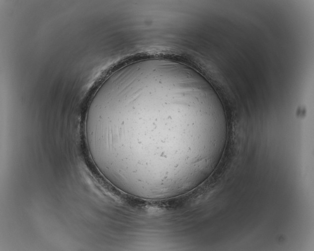 X0000112500592200909071247