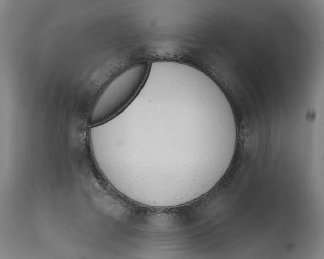 X0000112500593200909071247