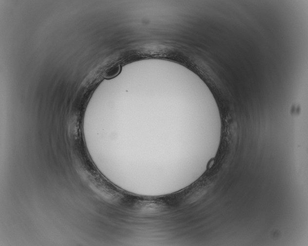 X0000112500597200909071247