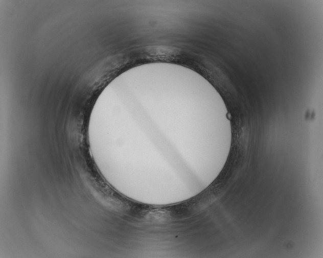 X0000112500599200909071247