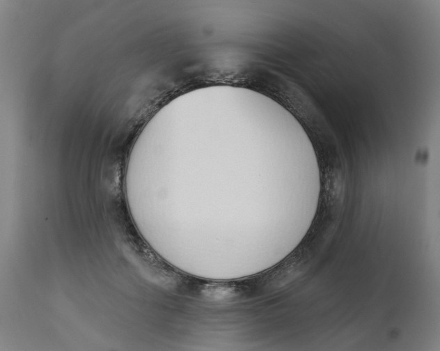 X0000112500602200909071247