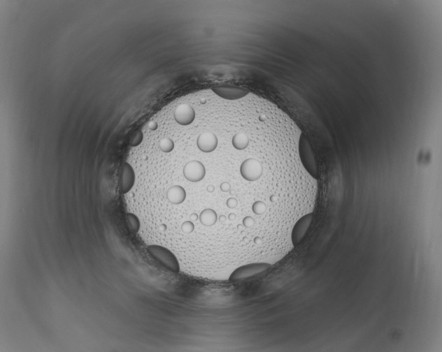 X0000112500606200909071247