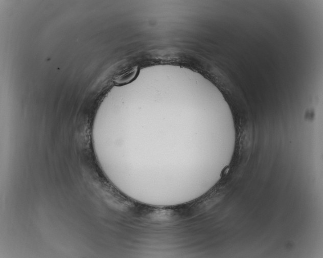 X0000112500609200909071247