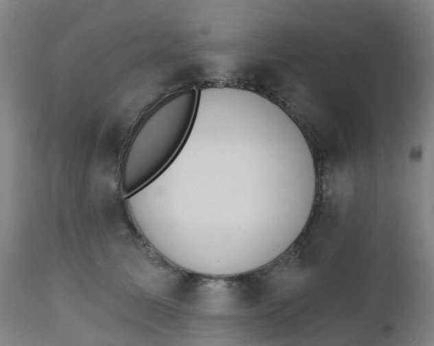 X0000112500611200909071247