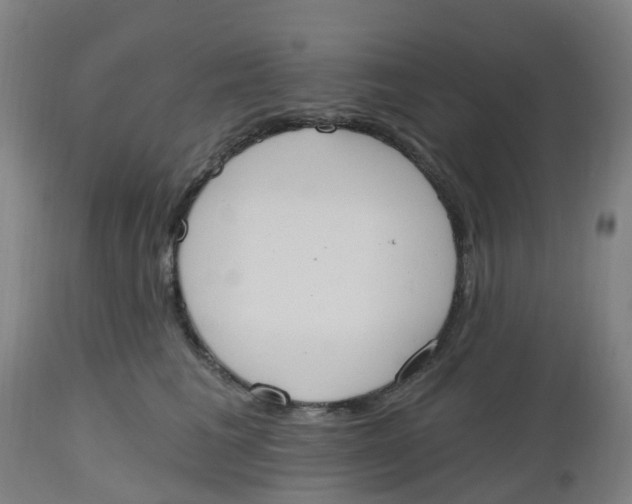 X0000112500613200909071246