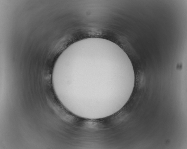 X0000112500614200909071246