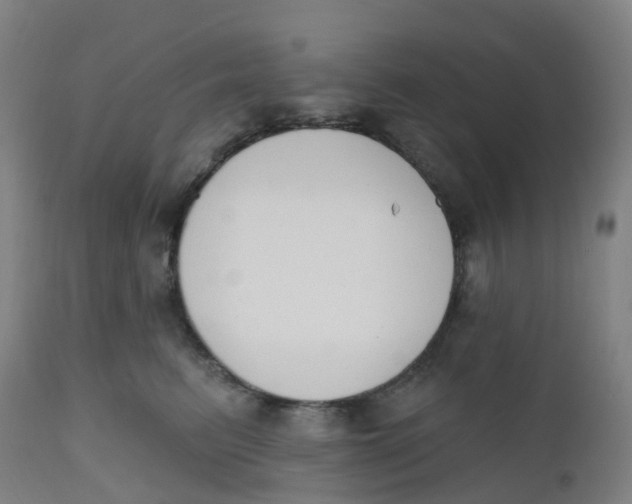 X0000112500615200909071246