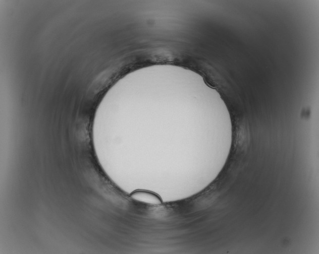 X0000112500616200909071246