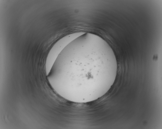 X0000112500621200909071246