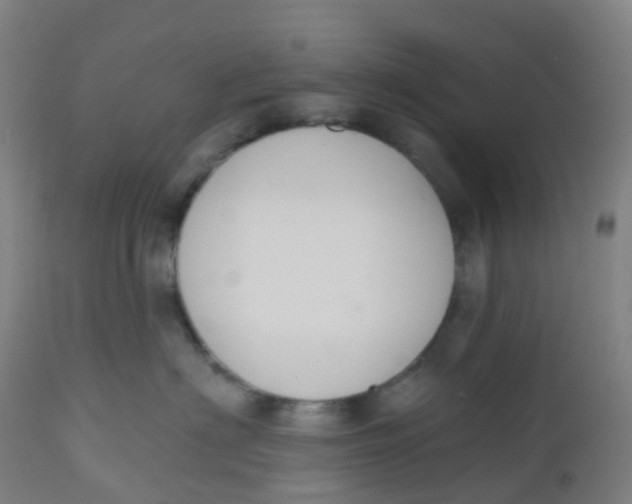 X0000112500622200909071246