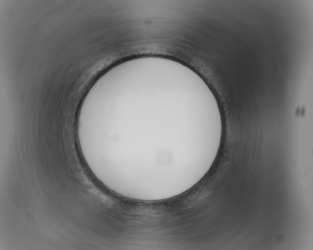 X0000112500625200909071246