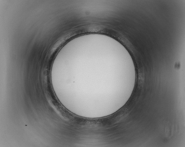 X0000112500626200909071246