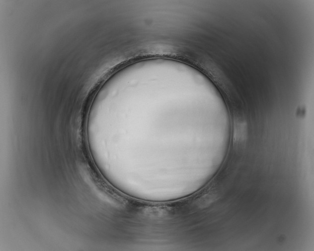 X0000112500627200909071246