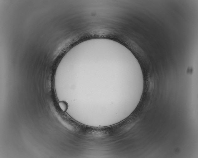 X0000112500638200909071246