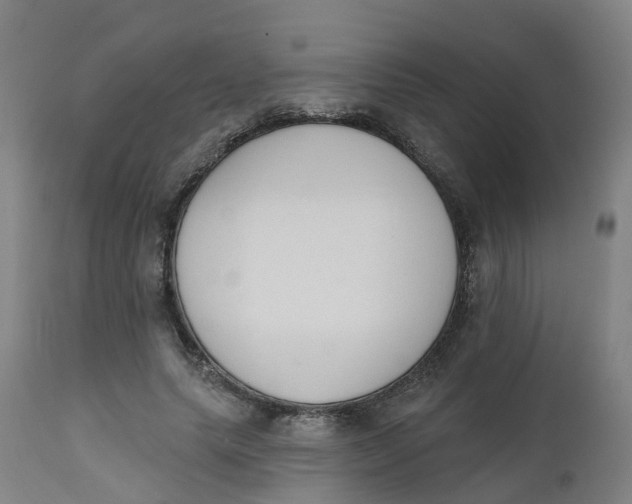 X0000112500639200909071246