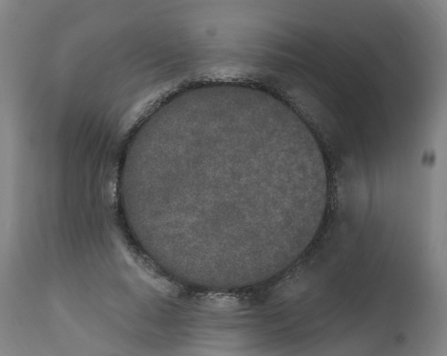 X0000112500640200909071246