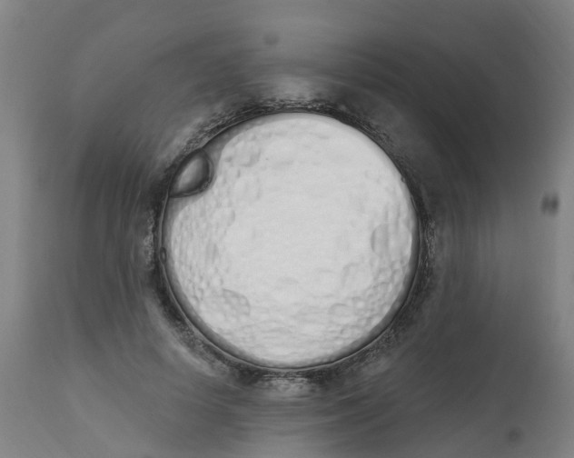 X0000112500642200909071246