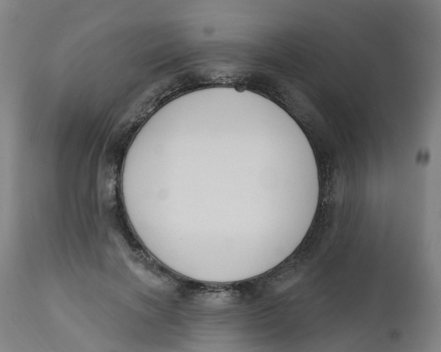 X0000112500646200909071246