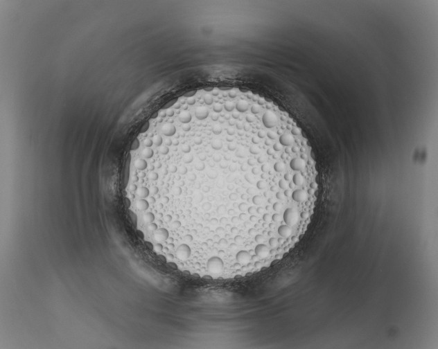 X0000112500648200909071246