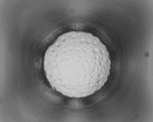 X0000112500652200909071246