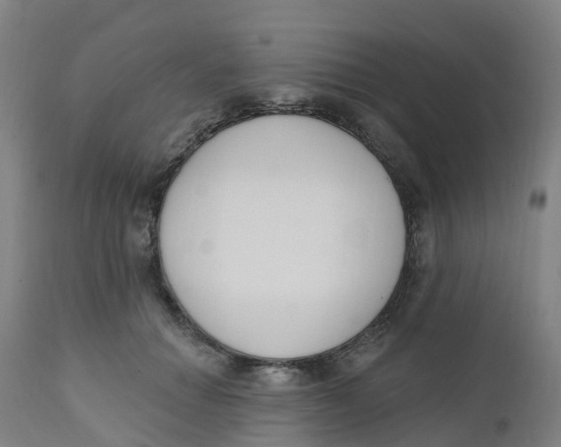 X0000112500654200909071246