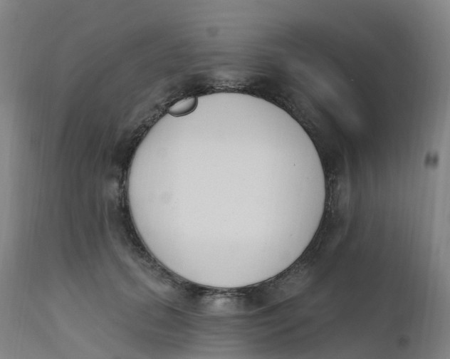 X0000112500655200909071246