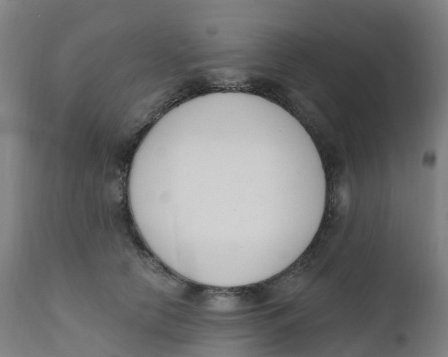 X0000112500658200909071246