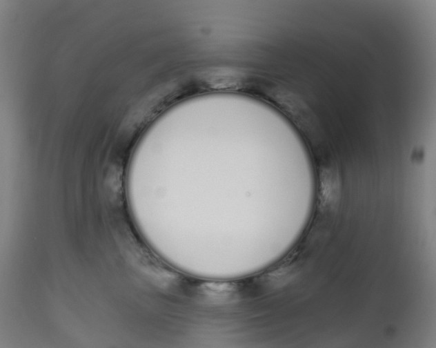 X0000112500667200909071246