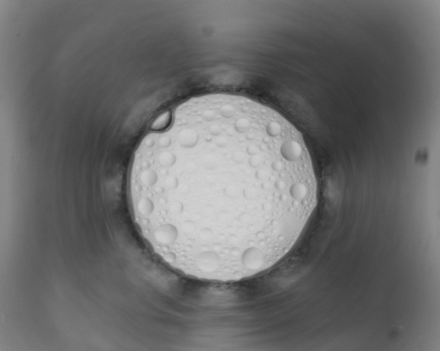 X0000112500668200909071246