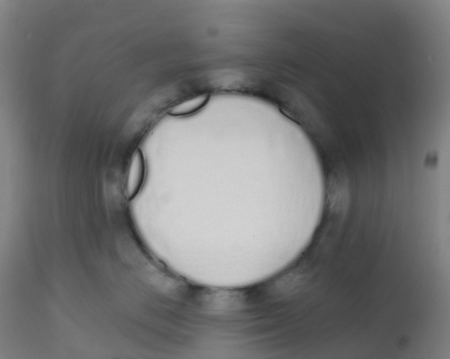 X0000112500670200909071246