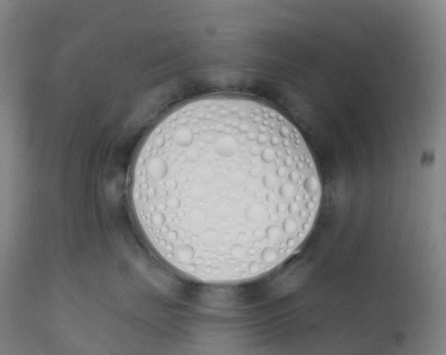 X0000112500671200909071246