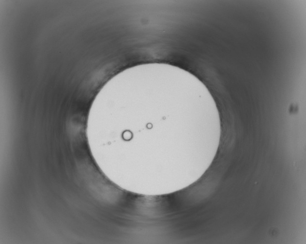 X0000112500672200909071246