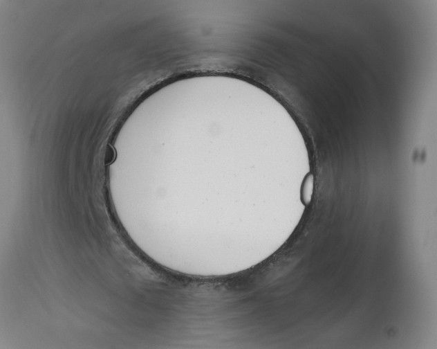 X0000112500673200909071246