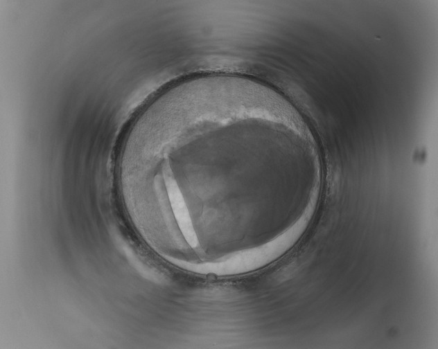 X0000112500674200909071246