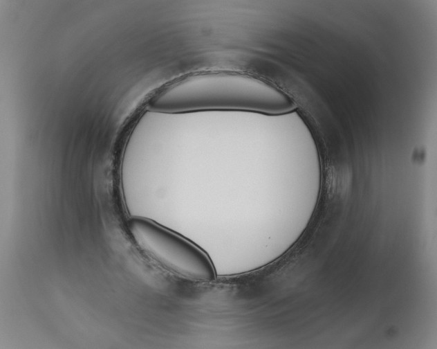 X0000112500676200909071246