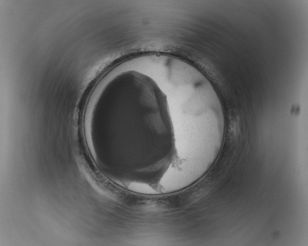 X0000112500678200909071245