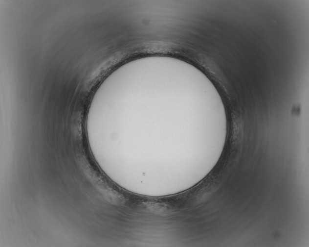 X0000112500681200909071245