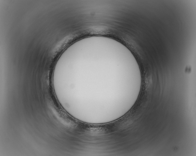 X0000112500686200909071245